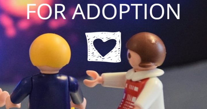 adoption qualifications